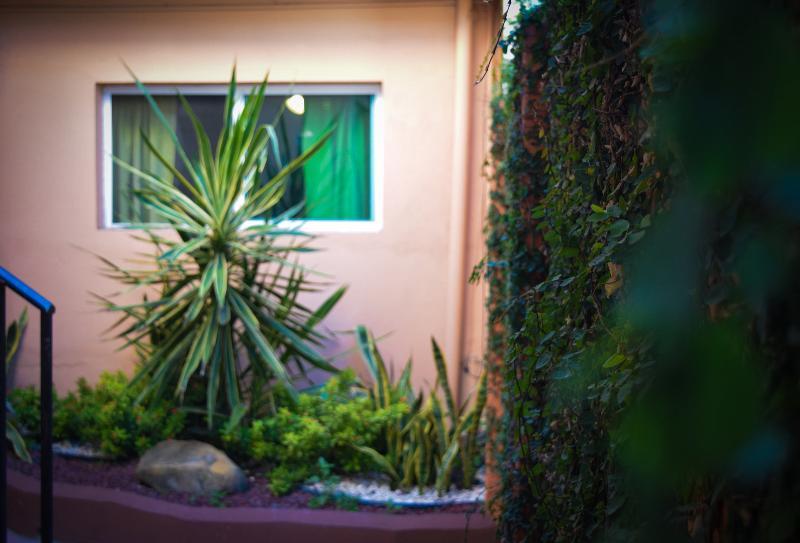 Econosuites Monterrey Zewnętrze zdjęcie