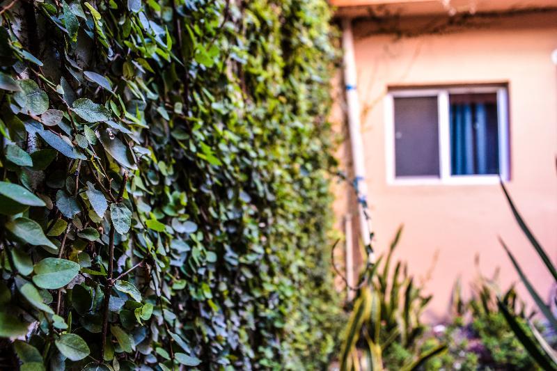 Econosuites Monterrey Zewnętrze zdjęcie